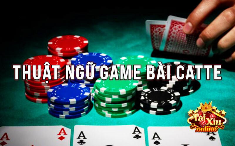 Game bài Catte có những thuật ngữ nào cần lưu ý?